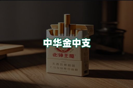 中华金中支